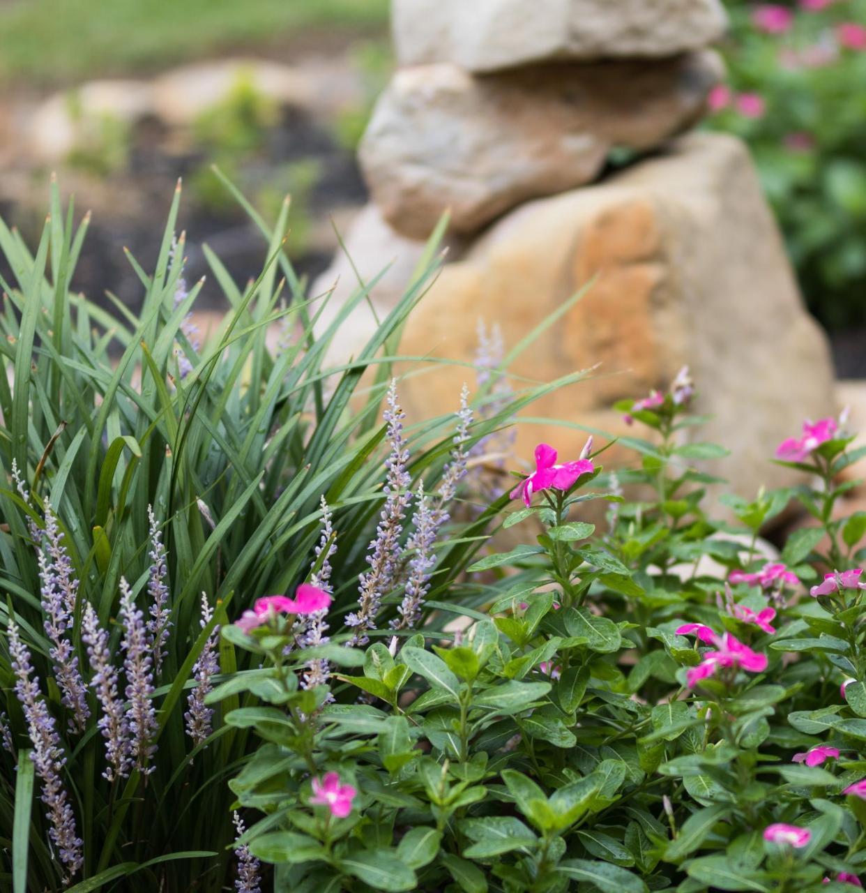 Vineyard Court Designer Suites Hotel College Station Exterior foto